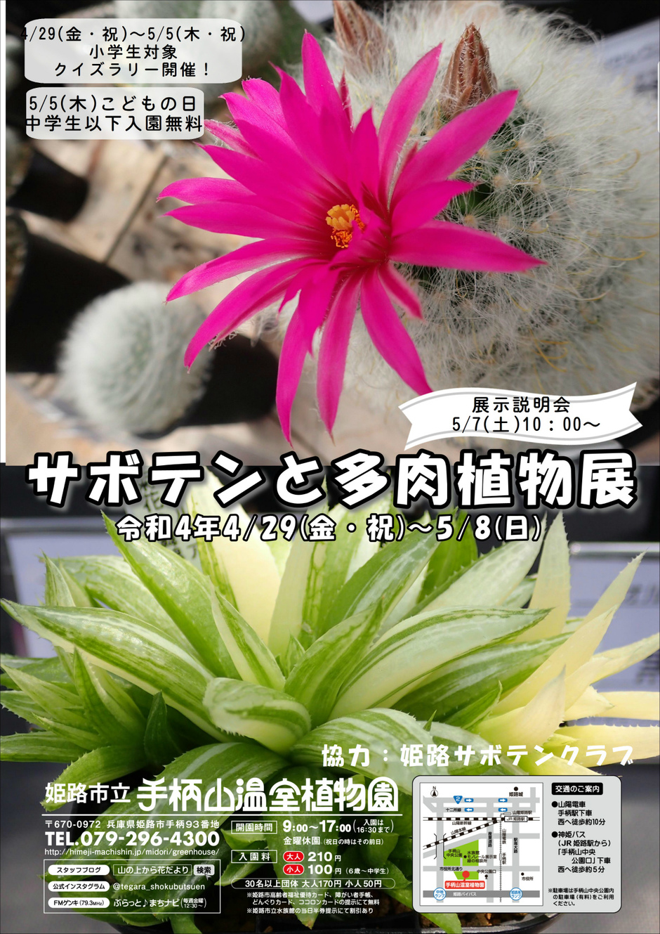 サボテンと多肉植物展【手柄山温室植物園】