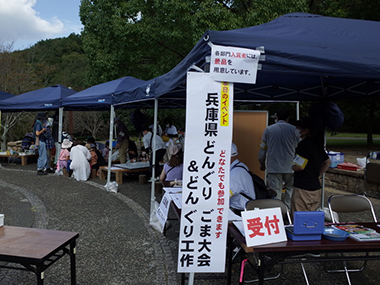【当日受付】三木山チャレンジ②どんぐりごま大会とどんぐり集めて森づくり【三木山森林公園】