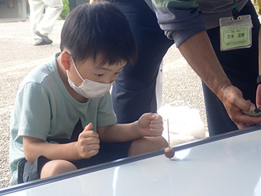 【当日受付】三木山チャレンジ②どんぐりごま大会とどんぐり集めて森づくり【三木山森林公園】