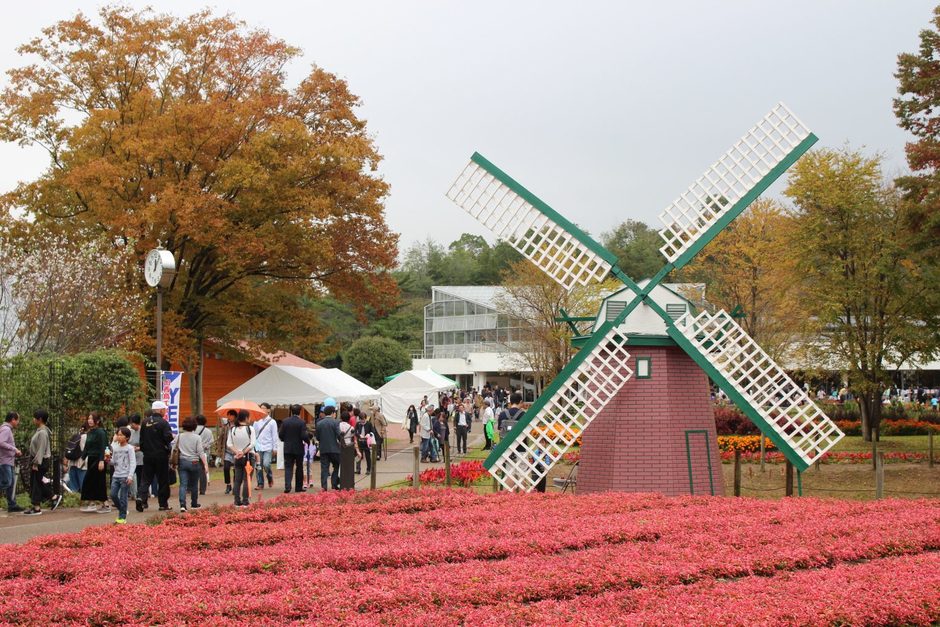 第17回じば産物産展【兵庫県立フラワーセンター】