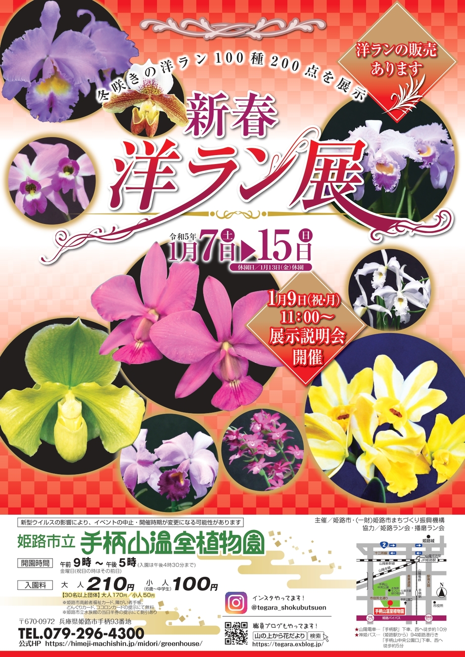 新春洋ラン展【手柄山温室植物園】