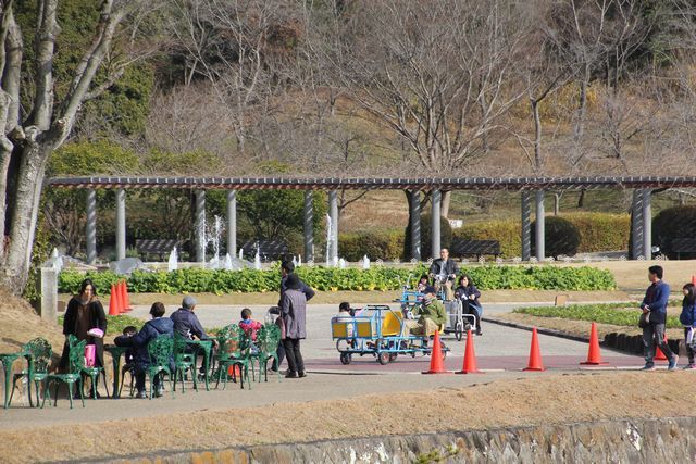 お正月特別開園【兵庫県立フラワーセンター】
