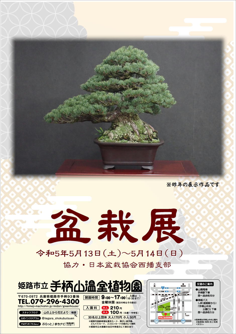 盆栽展【手柄山温室植物園】