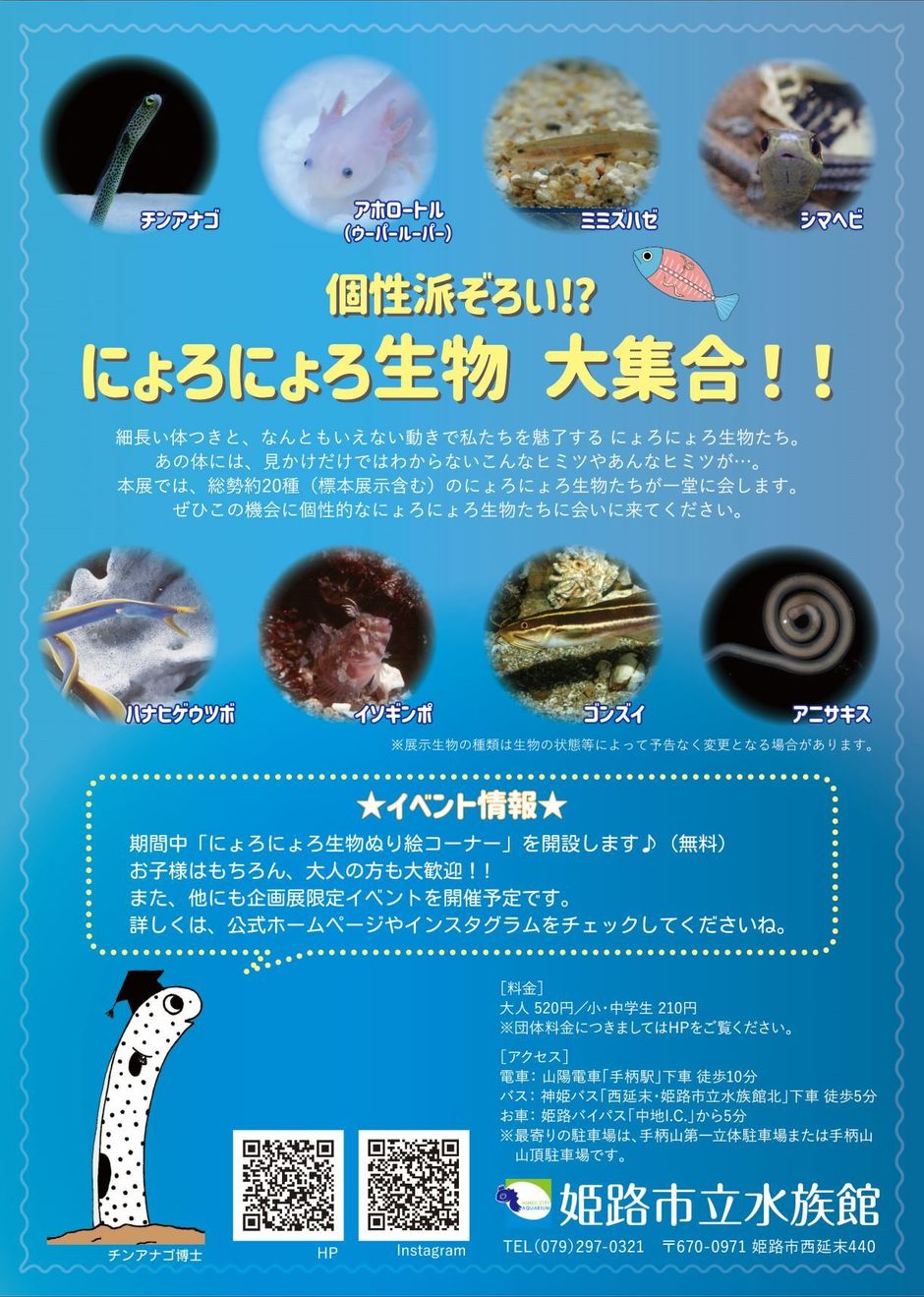 企画展「あつまれ にょろにょろたち」【姫路市立水族館】