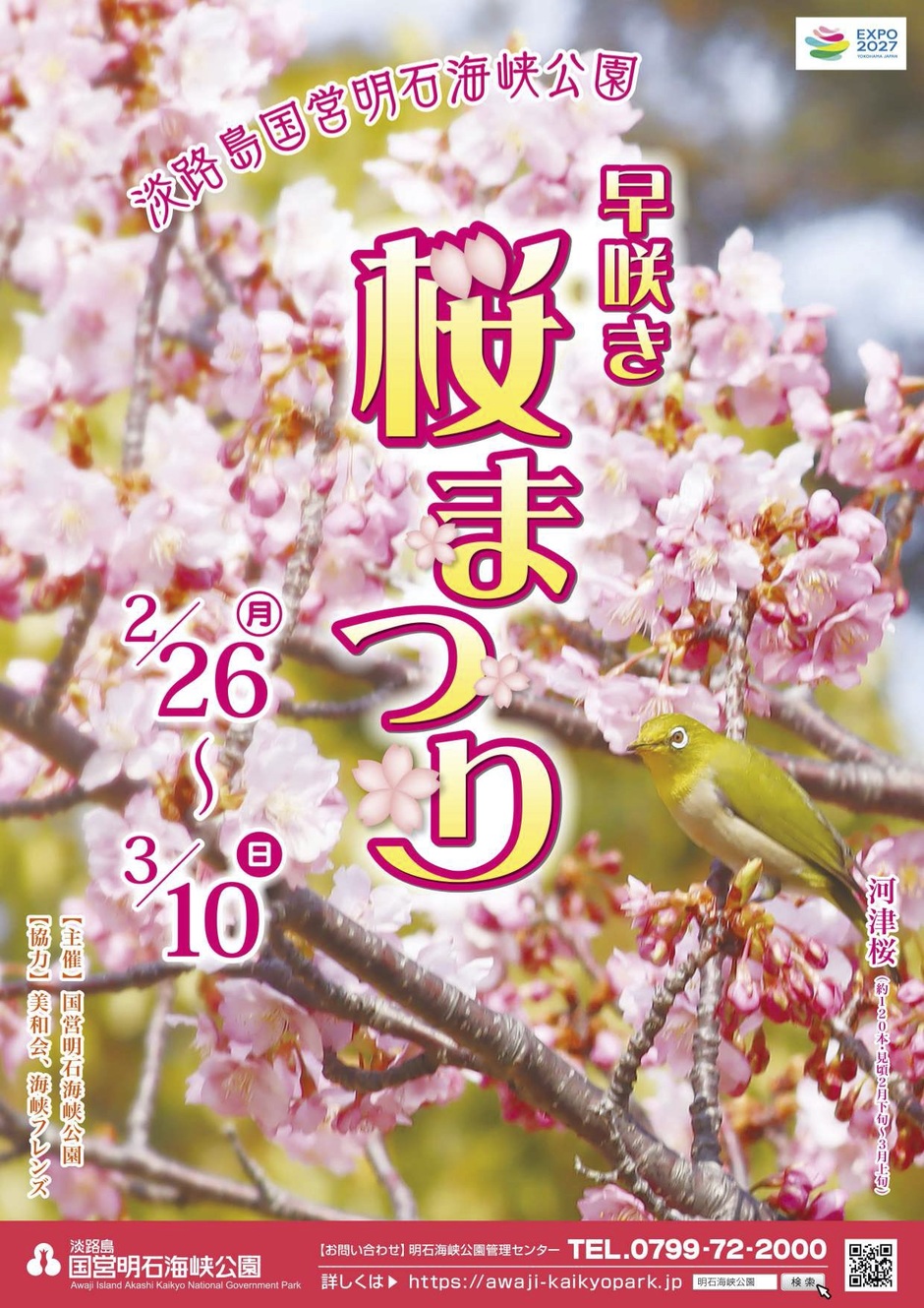 淡路市・早咲き 桜まつり【淡路島国営明石海峡公園】｜クルールはりま