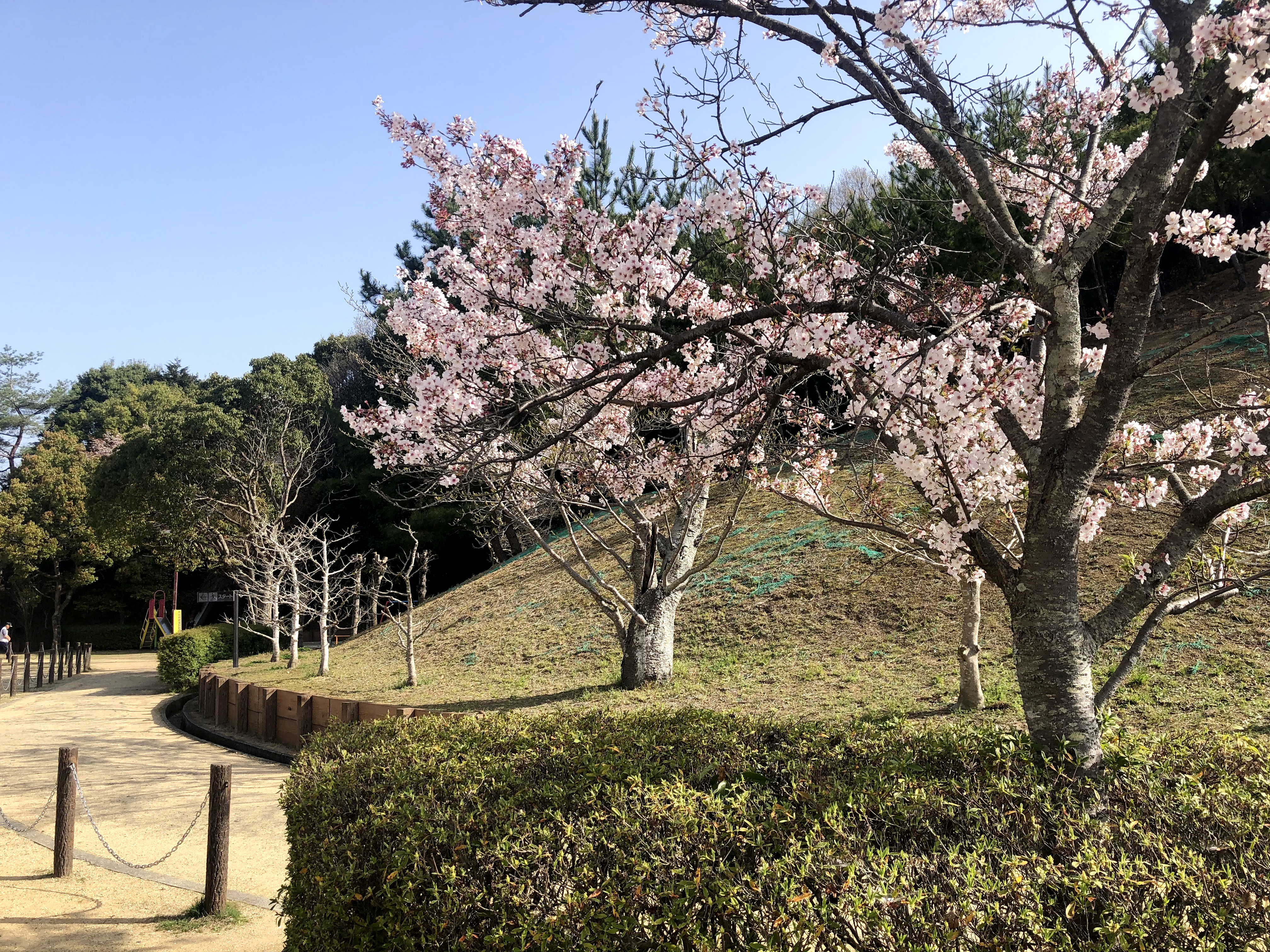 香寺総合公園スポーツセンター
