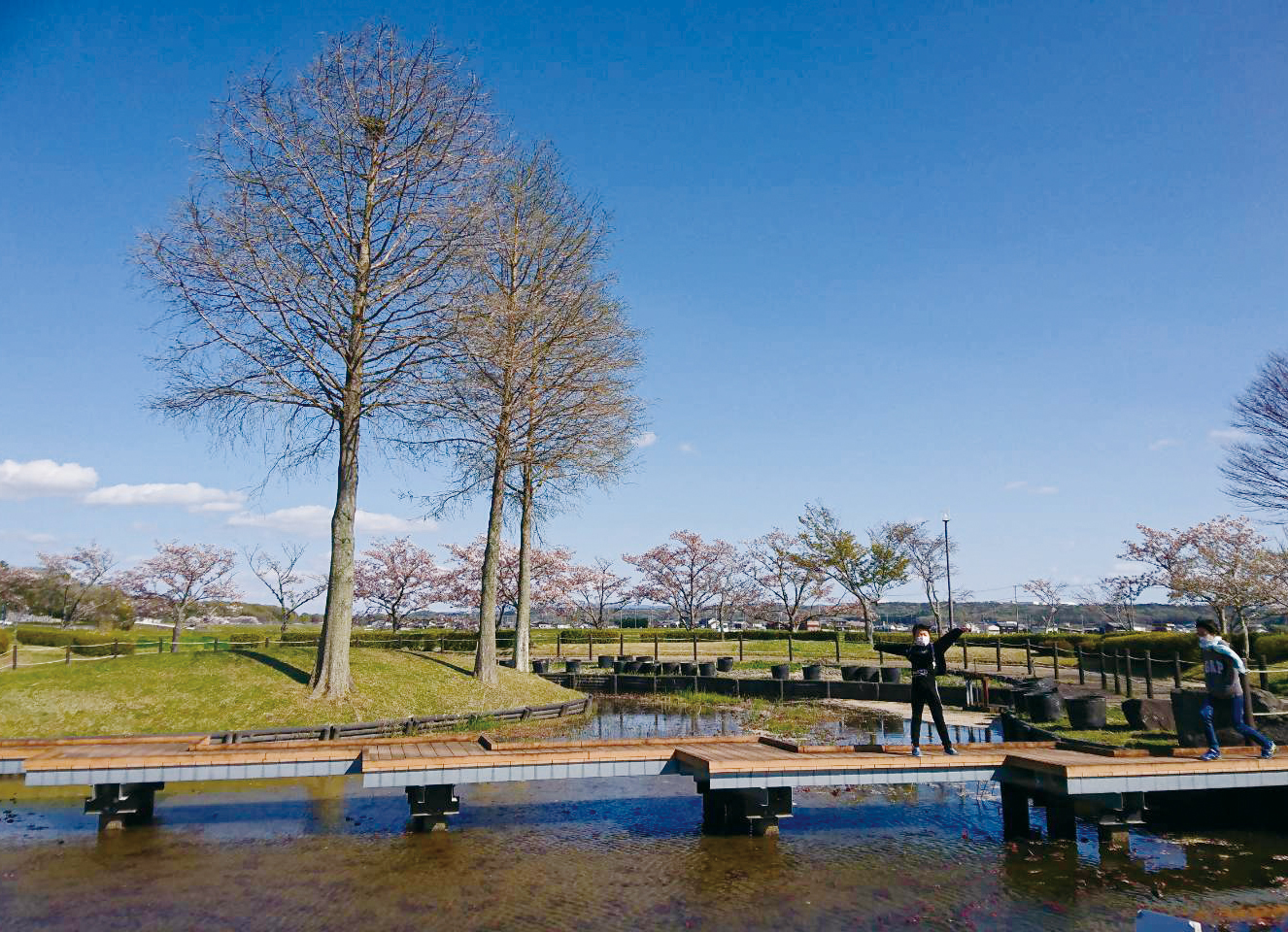 平池公園