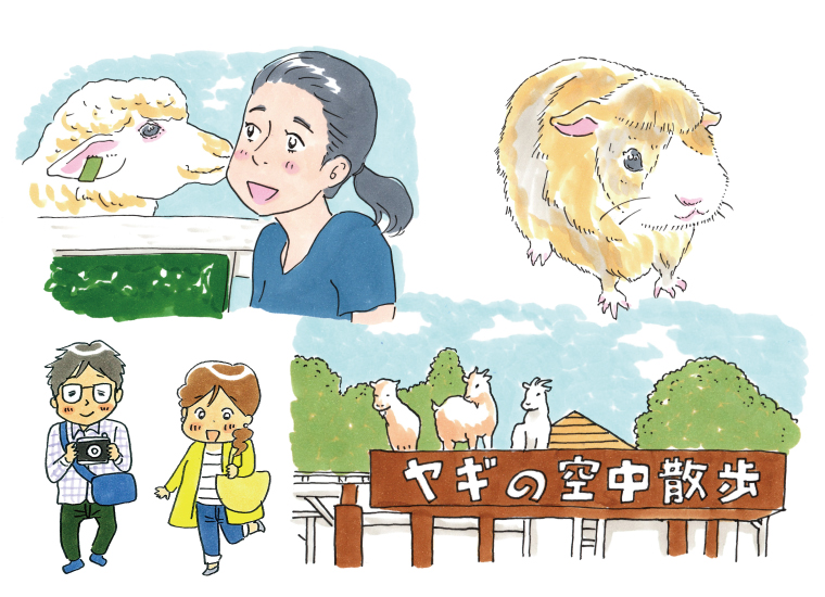 のじま動物園