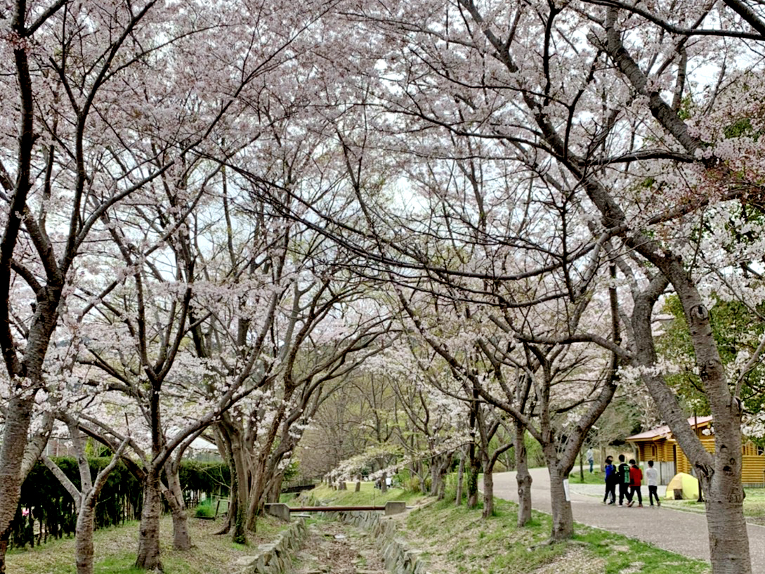 市ノ池公園