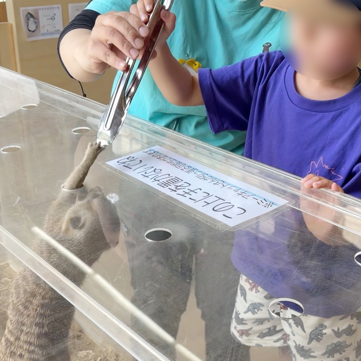 ふれあい動物園　nest.