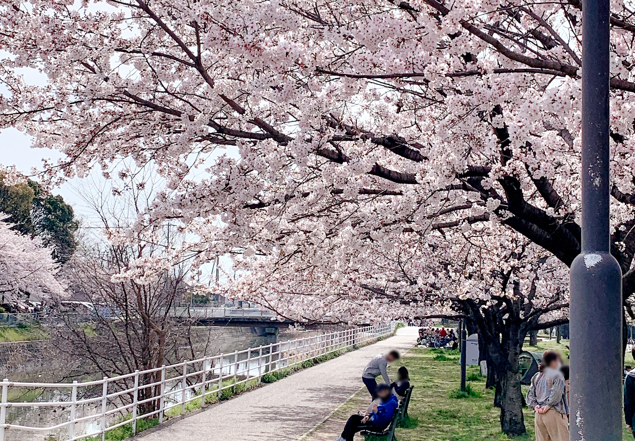 津田公園