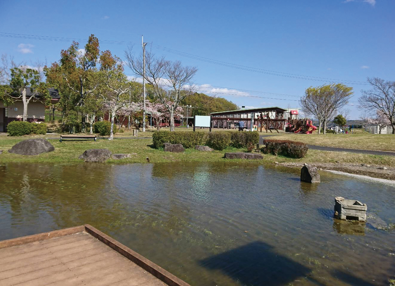 平池公園