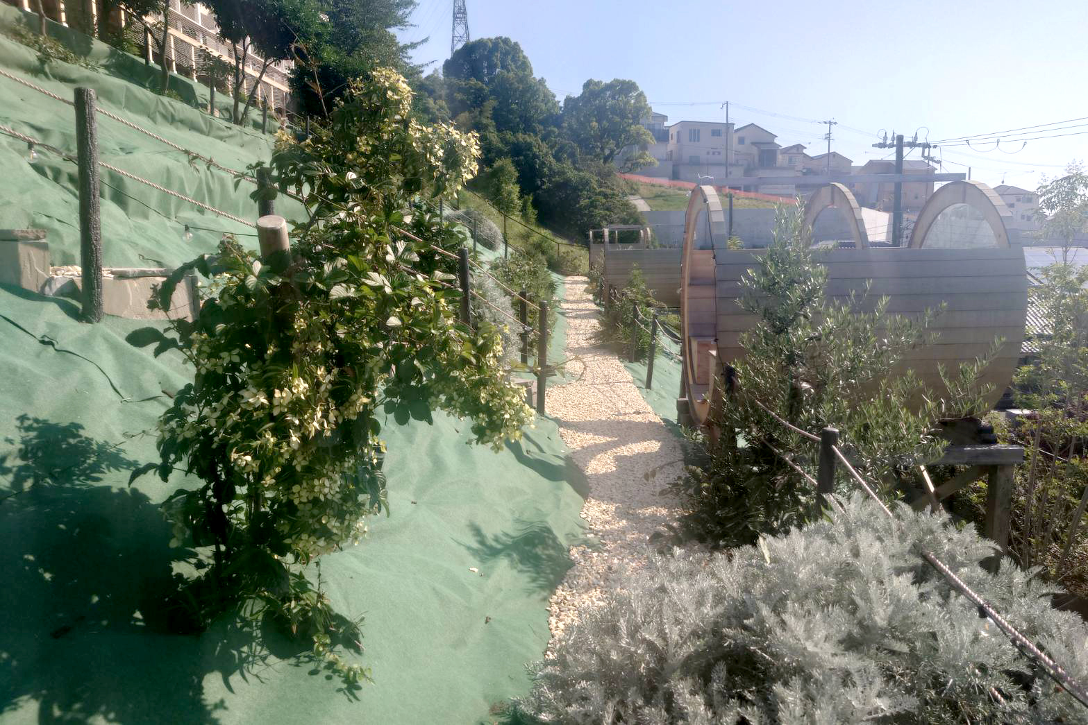 ジェラートシープラス