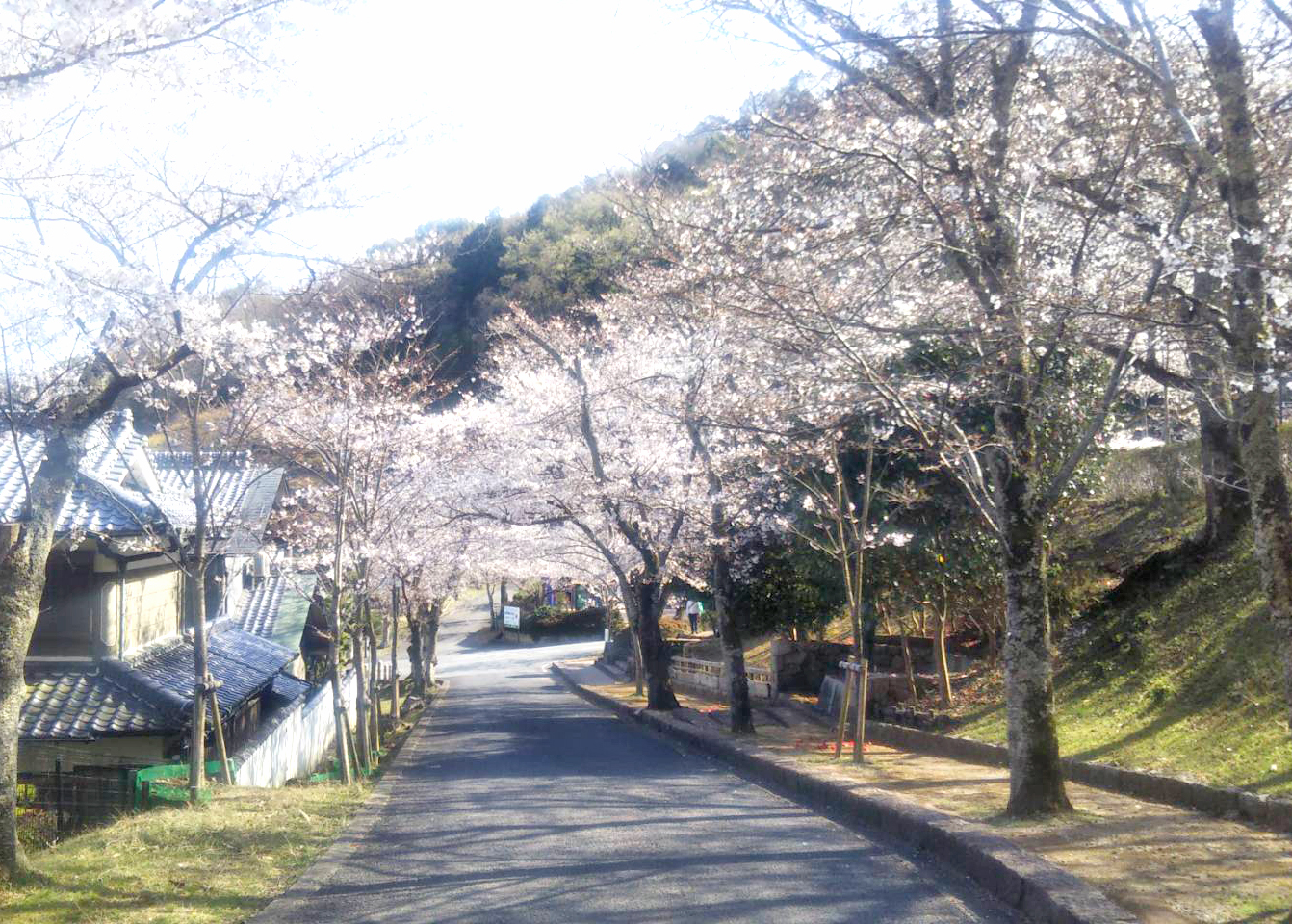龍野公園
