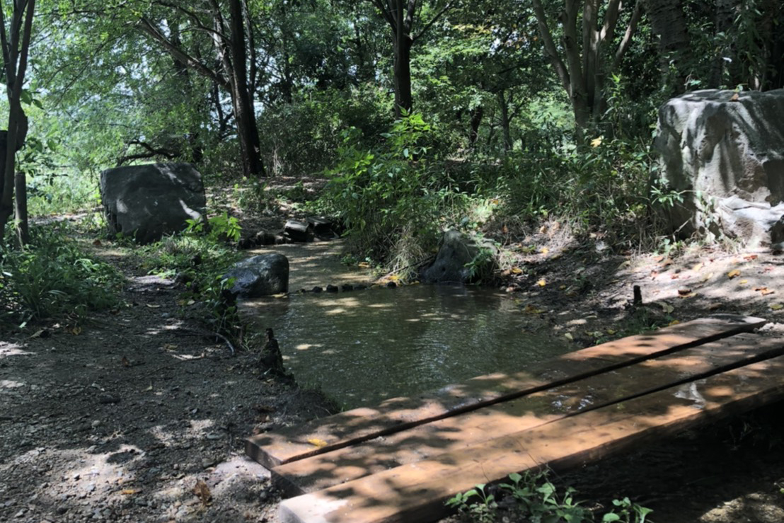 いなみ野水辺の里公園