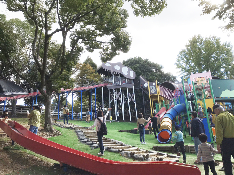 明石市 の一年を通して楽しめる 石ケ谷公園 その魅力をご紹介
