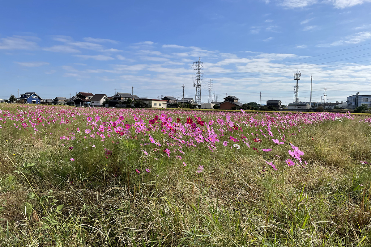 天満大池公園