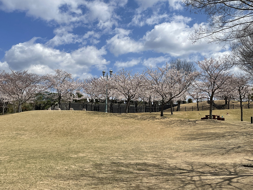 社中央公園ステラパーク