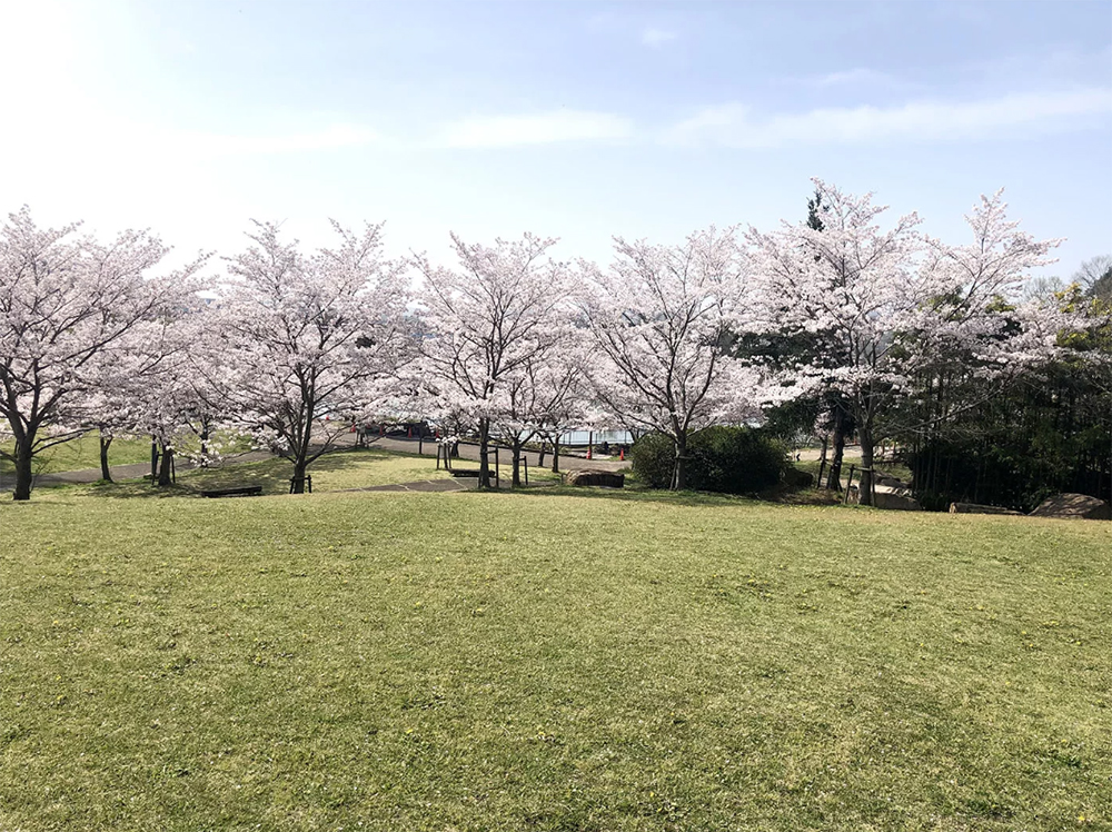丸山総合公園