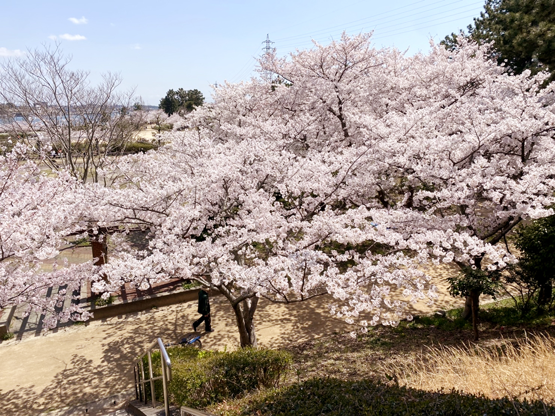 明石海浜公園