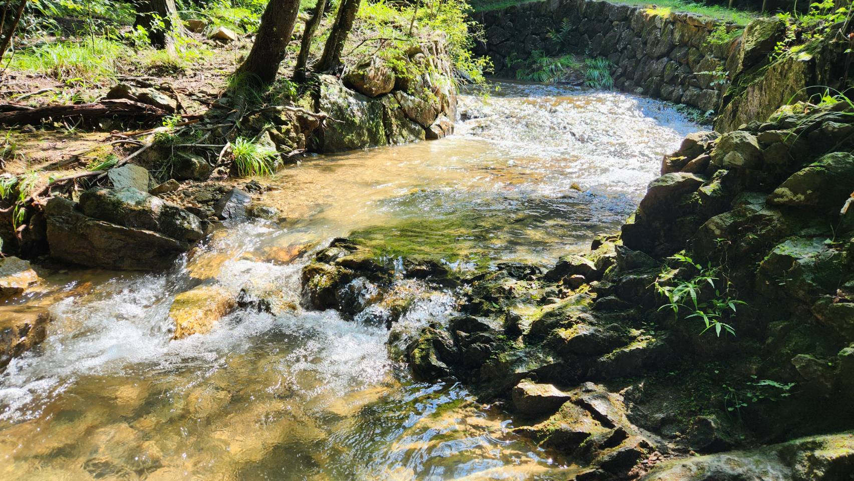 なか・やちよの森公園　渓流の広場
