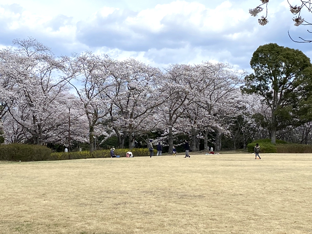 播磨中央公園