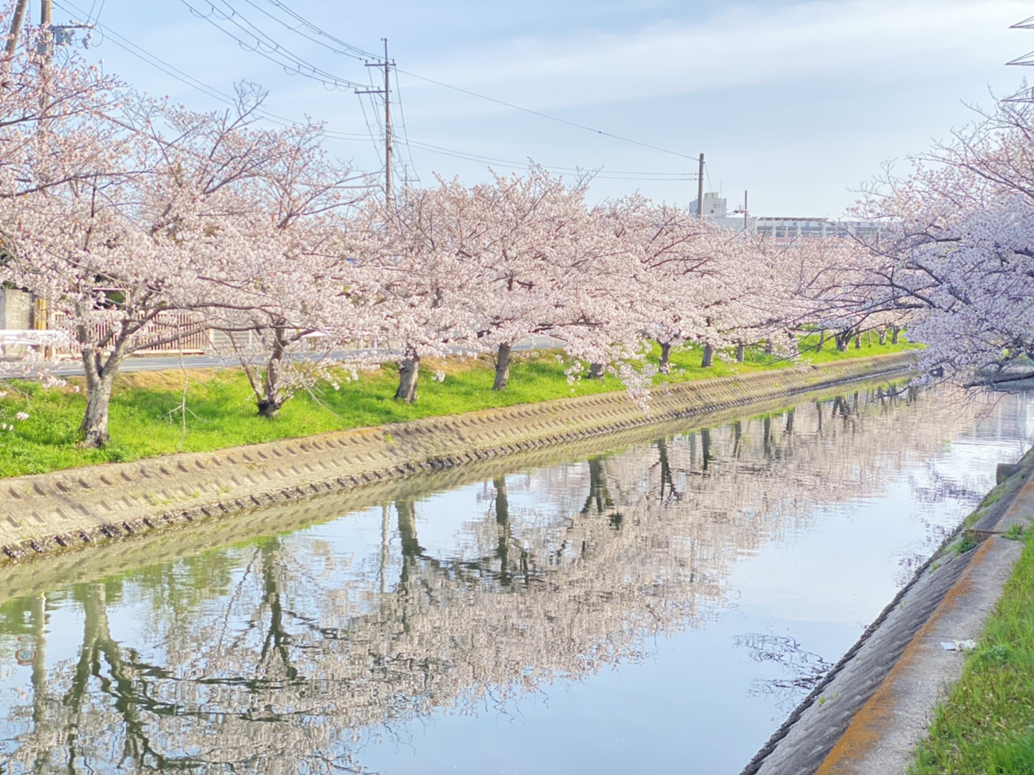 鹿島川