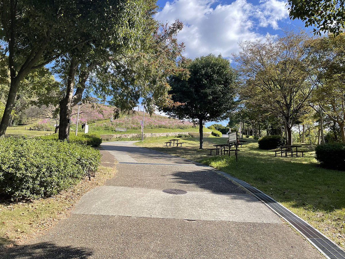 神戸総合運動公園