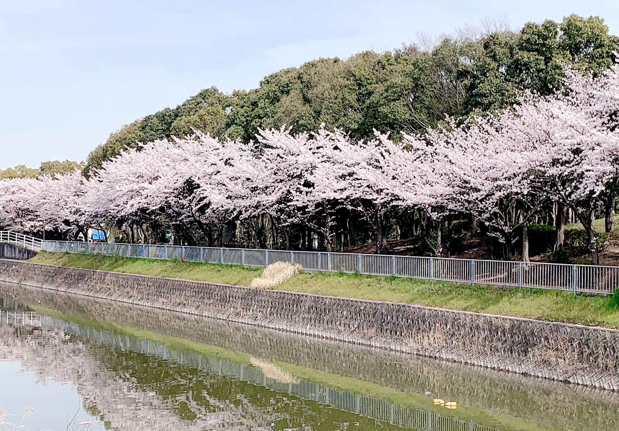 津田公園