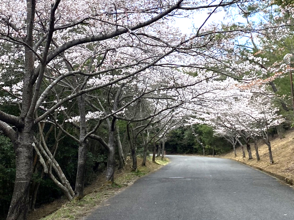 播磨中央公園