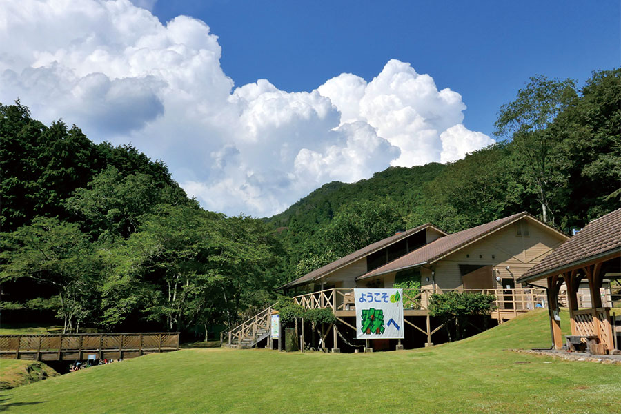 ゆめさきの森公園