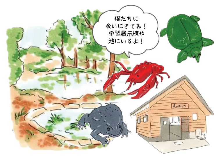 いなみ野水辺の里公園