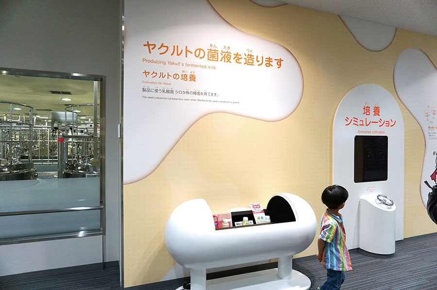 ヤクルト工場見学(6)菌液の培養