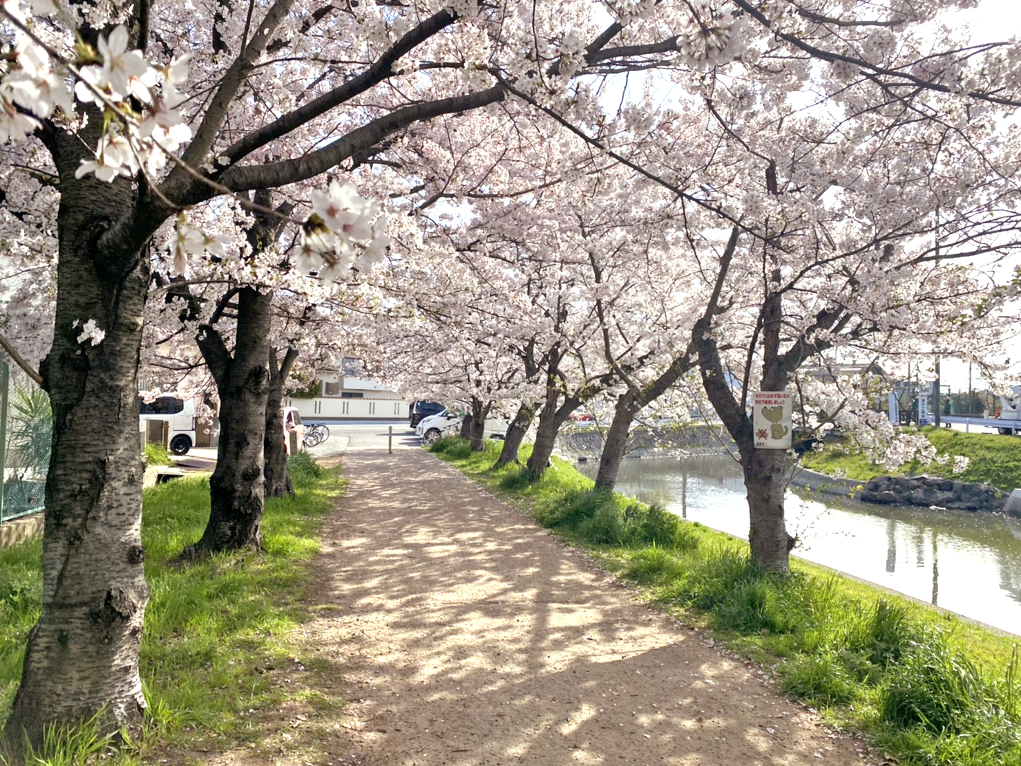 鹿島川