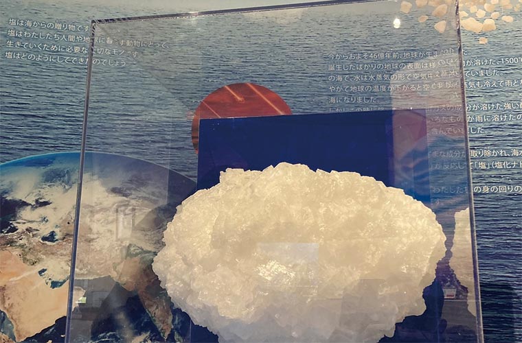 赤穂市立海洋科学館