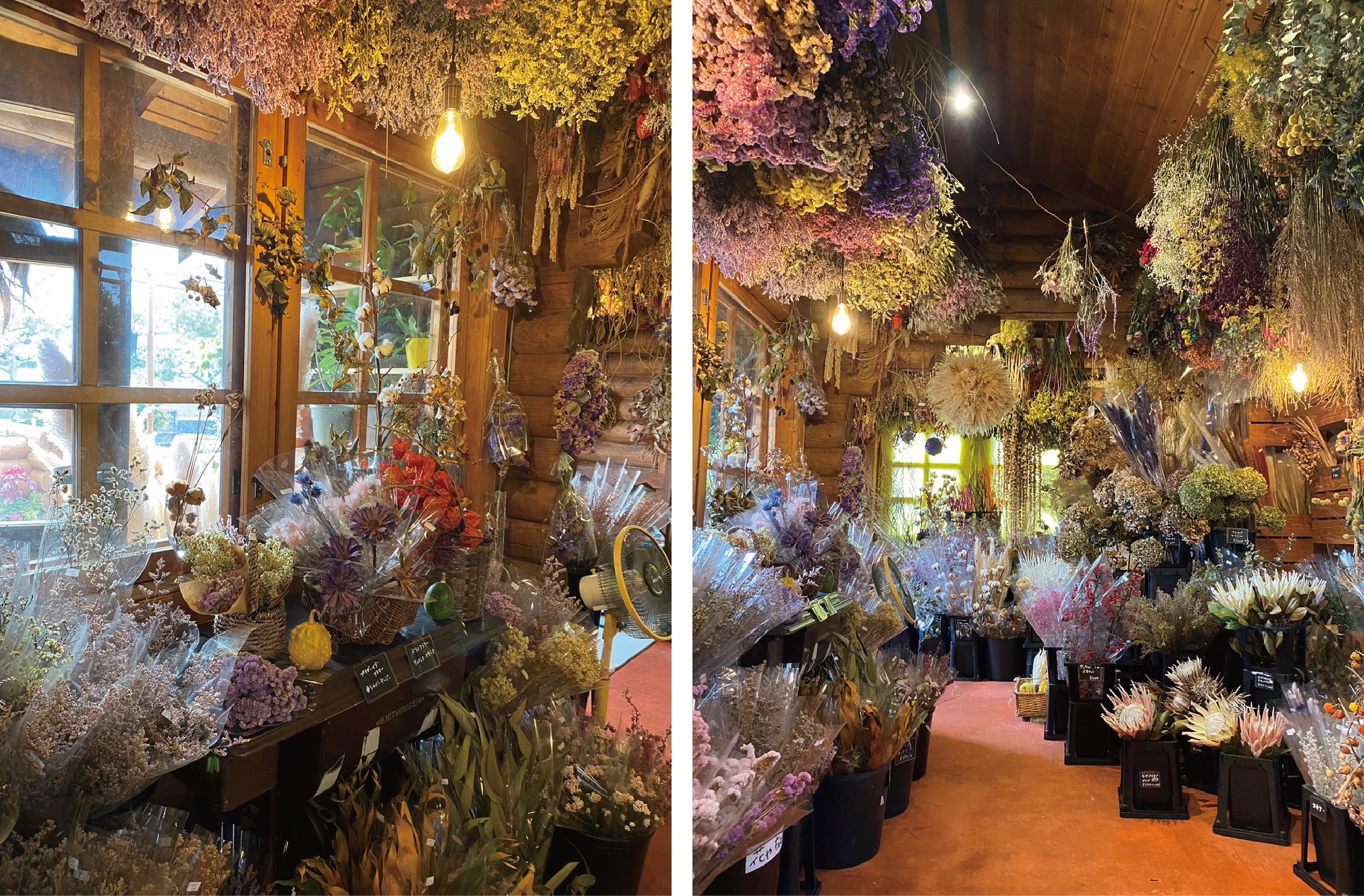 花やちよみくさ