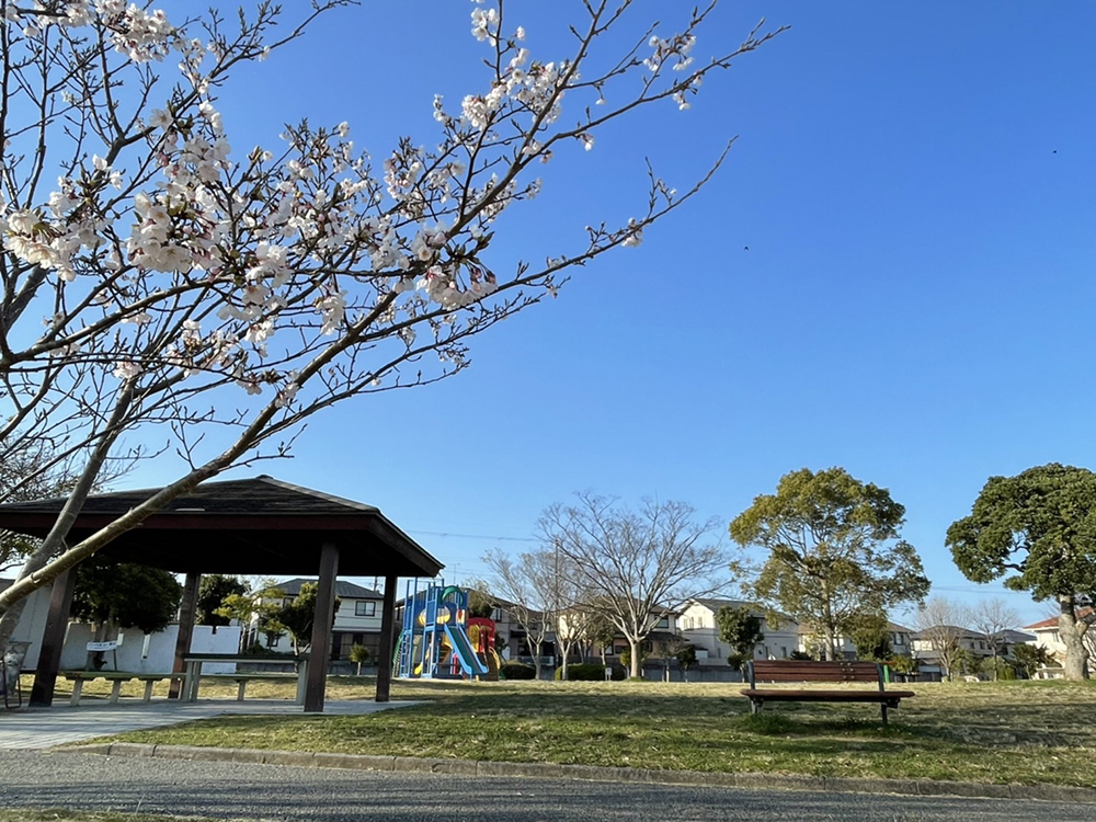 青山中央公園
