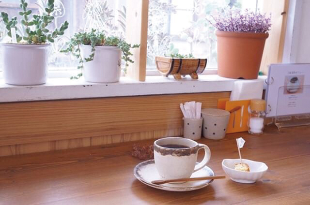 caféこはる