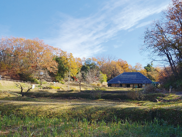 やしろの森公園