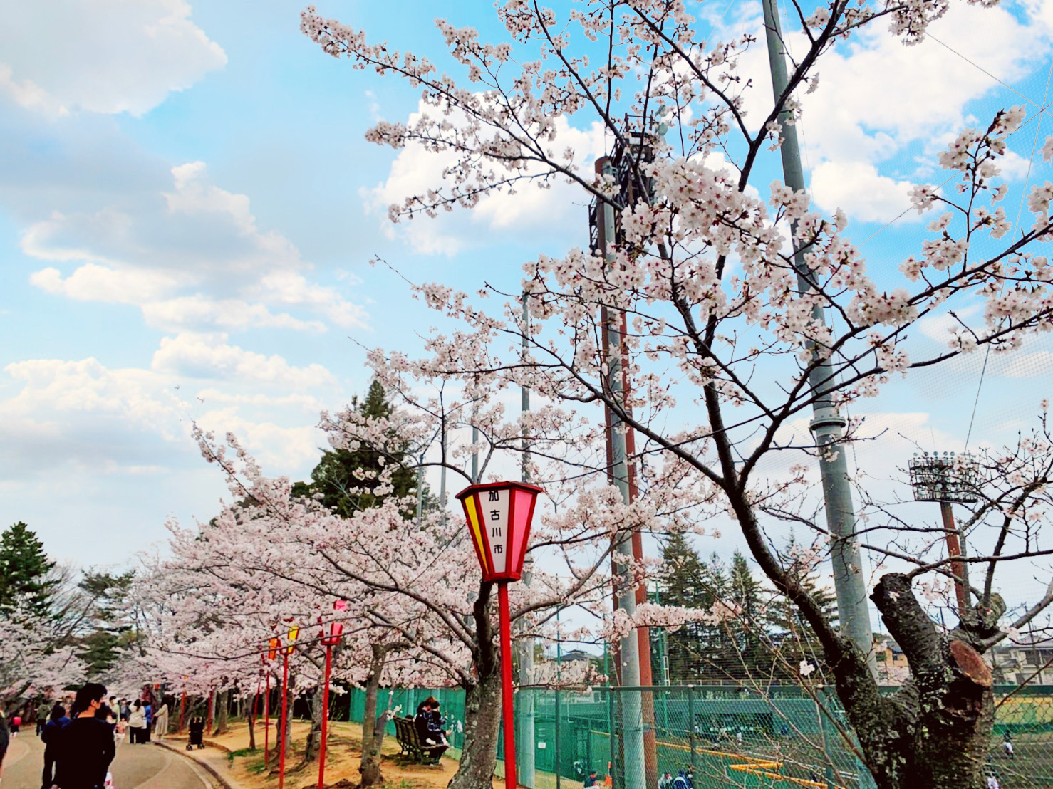 日岡山公園