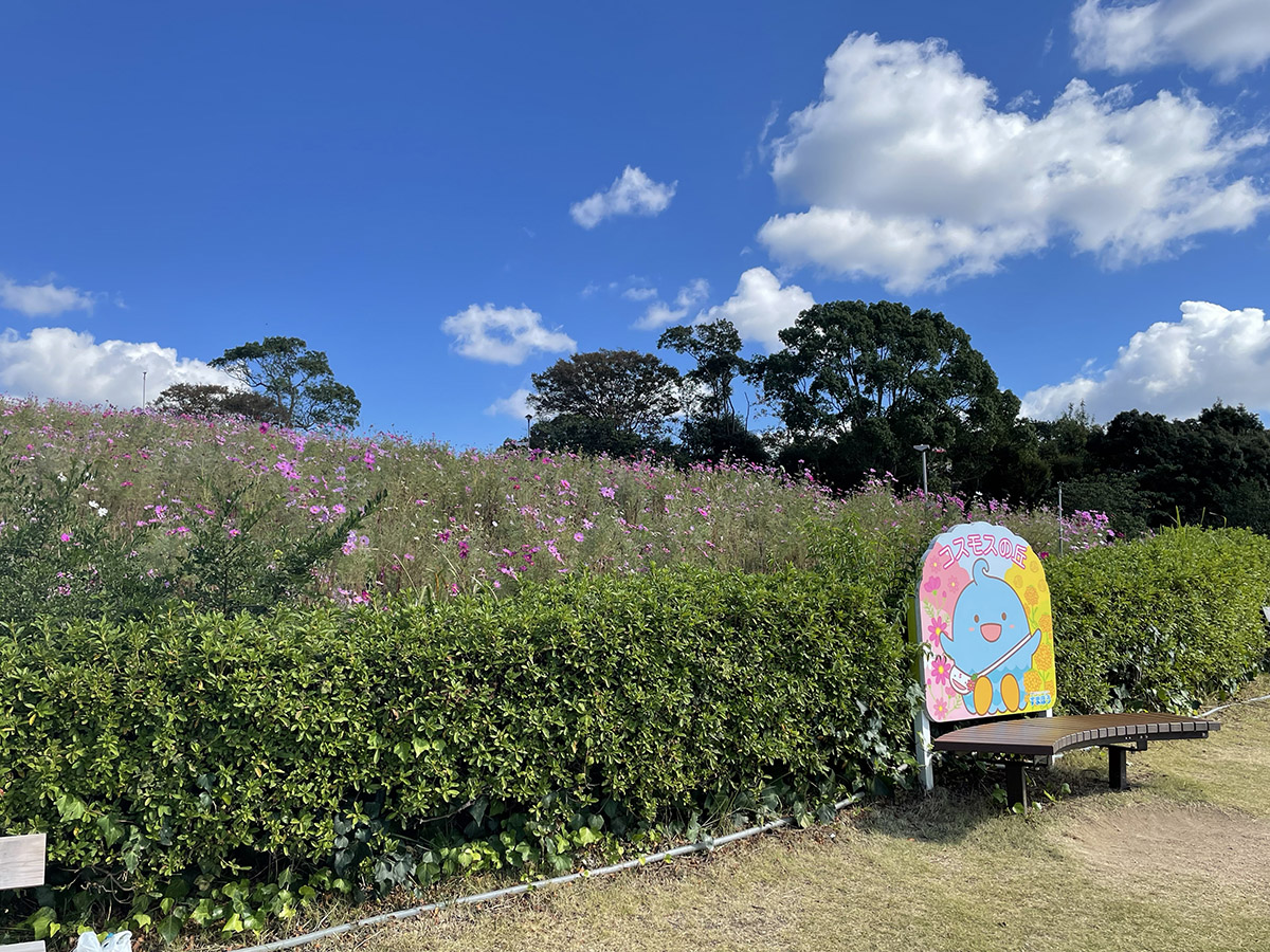 神戸総合運動公園