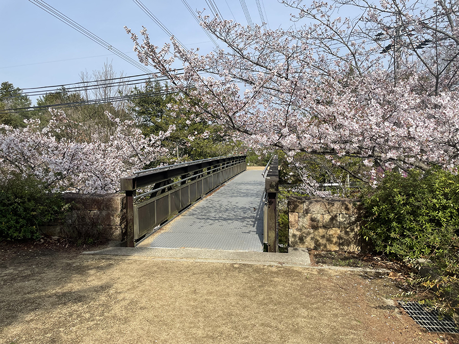 さくらの森公園