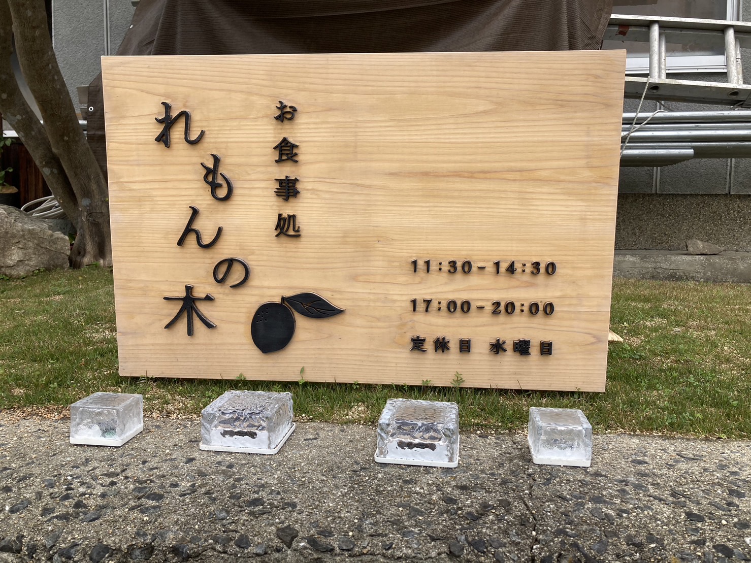 れもんの木