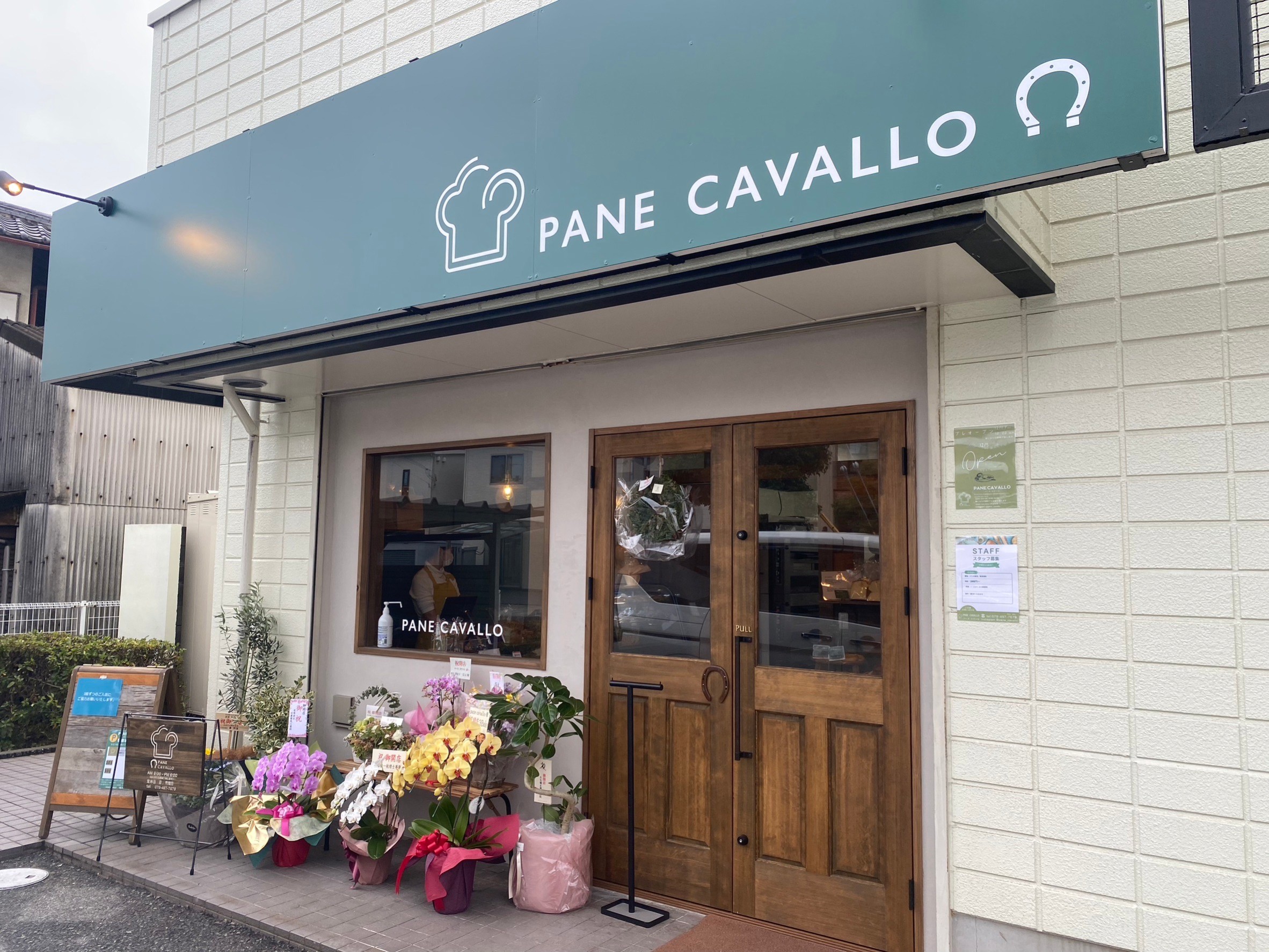PANE CAVALLO