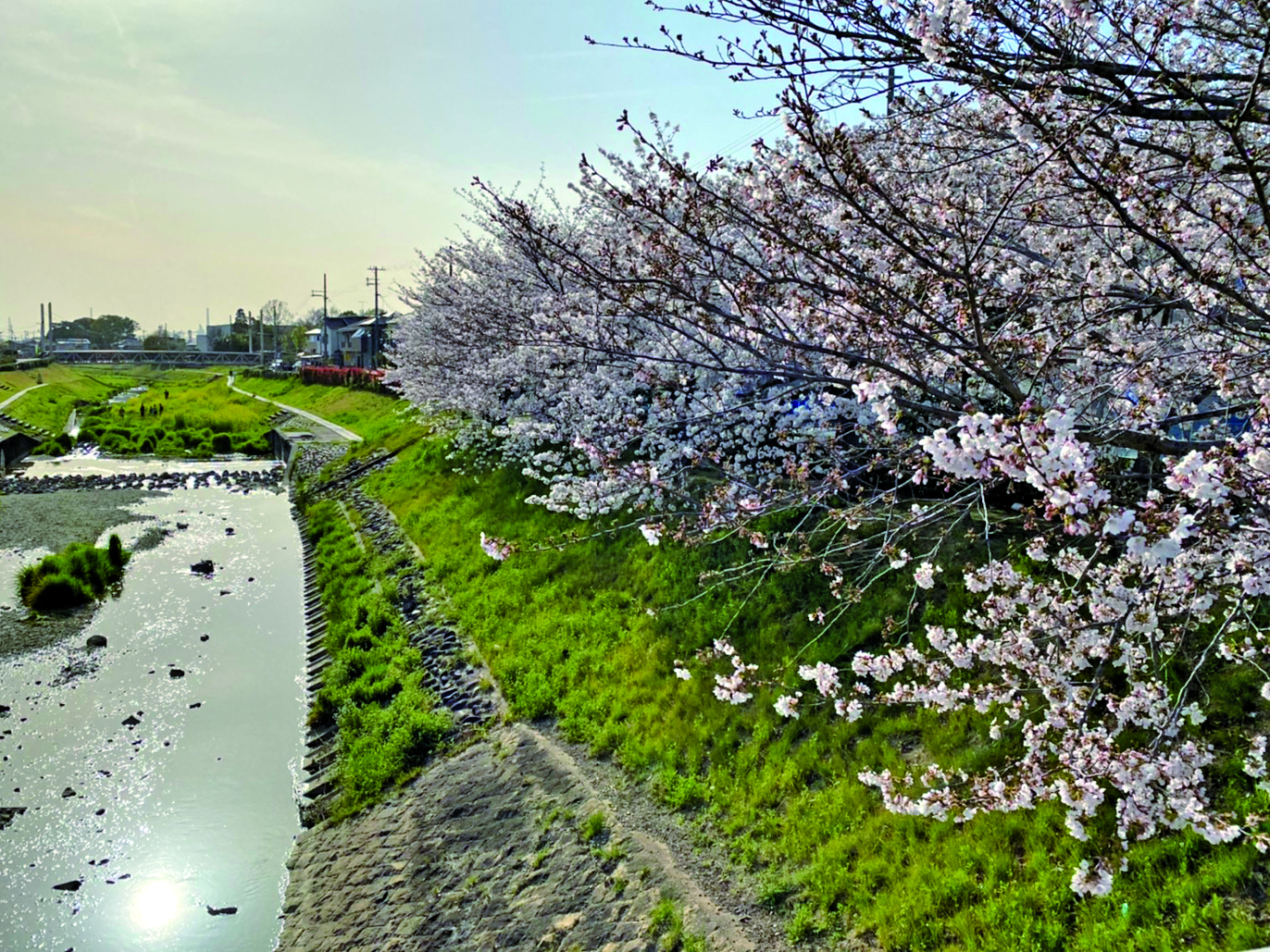 野添であい公園