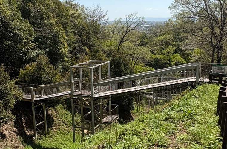 夢の森公園