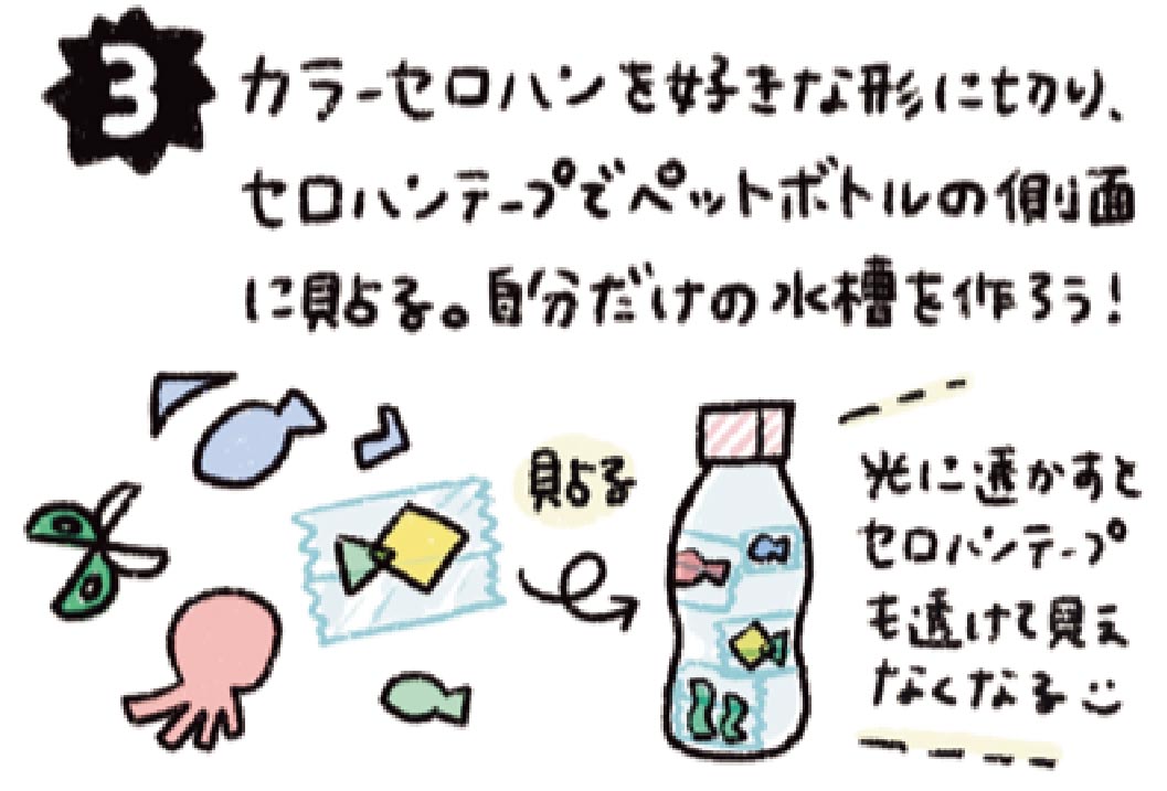 キラキラすいそう
