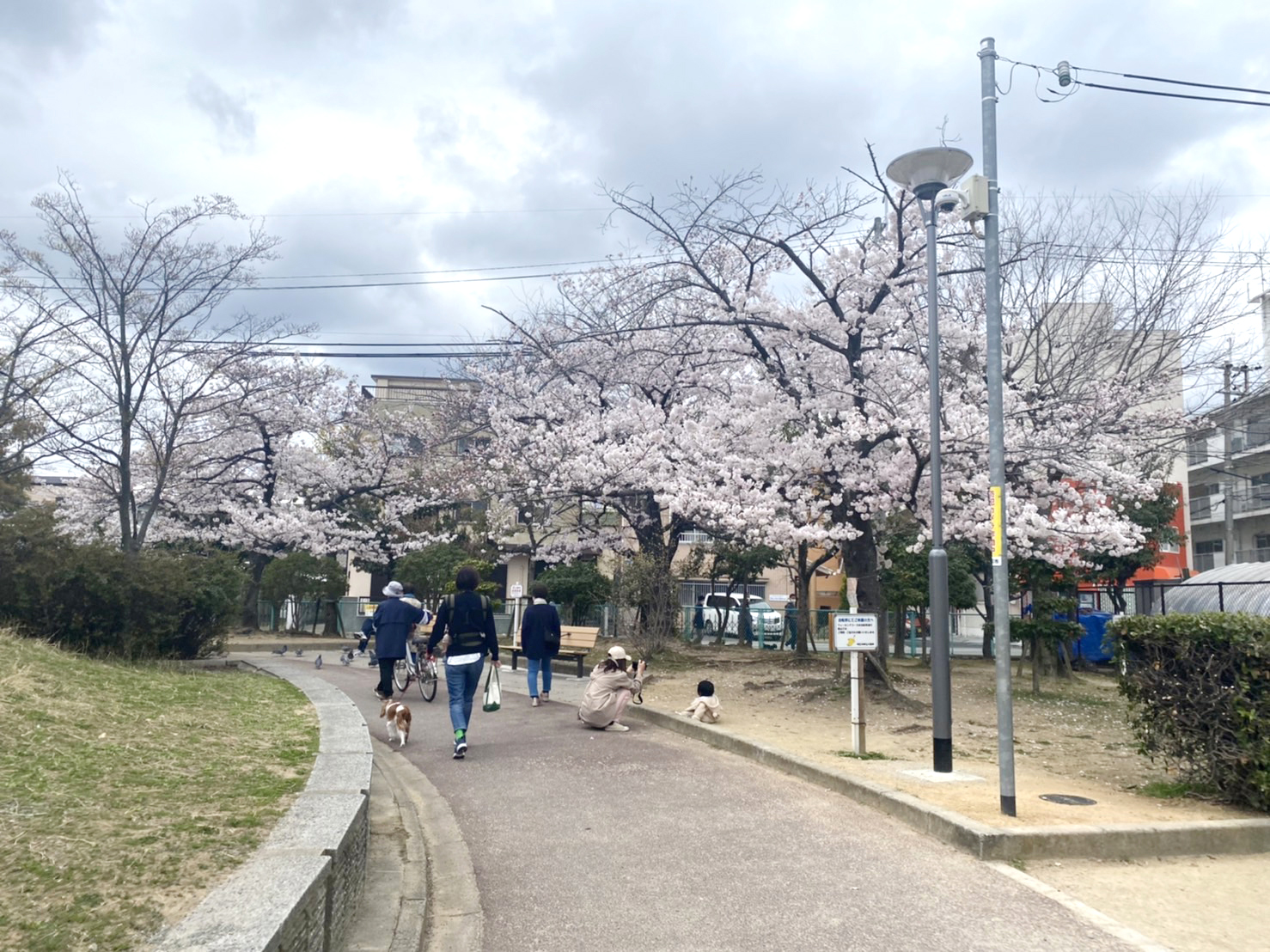 上ヶ池公園