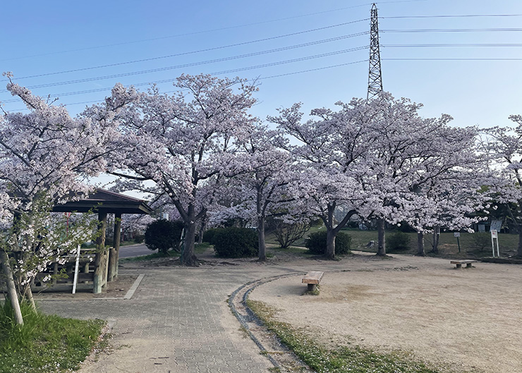 日岡山公園