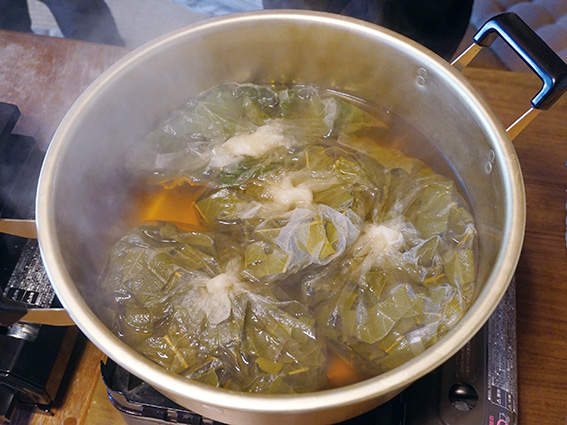草木染め